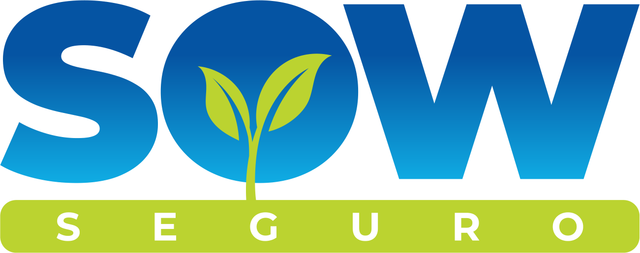 Grupo Sow Seguro